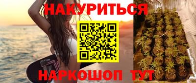 тгк Гай