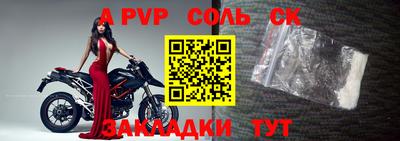 тгк Гай