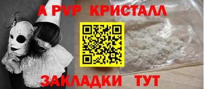 тгк Гай
