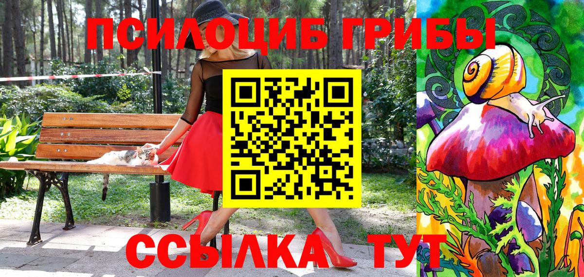 Балаково  Галлюциногенные грибы Psilocybine cubensis  Галлюциногенные грибы MAGIC MUSHROOMS  Вход с VPN 